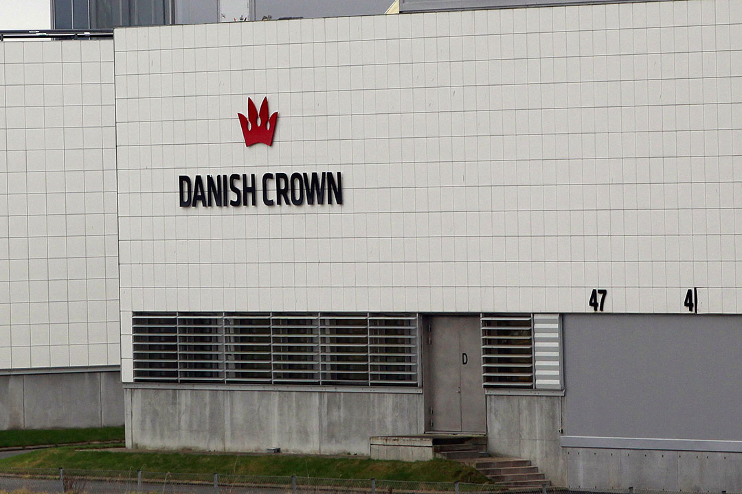 Danish Crown Ziet Winst Verdampen Door Hoge Kosten Eiwit Trends